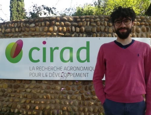 Maurizio Crupi at CIRAD research seminar